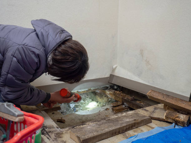 Best Asbestos and Lead Testing During Mold Inspection  in Gulf Park Estates, MS