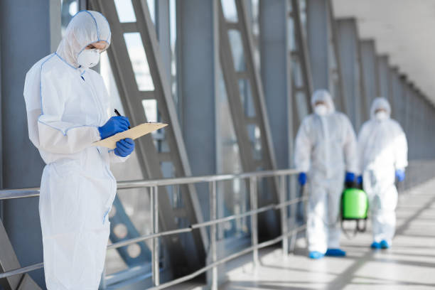 Best Emergency Mold Remediation  in Gulf Park Estates, MS