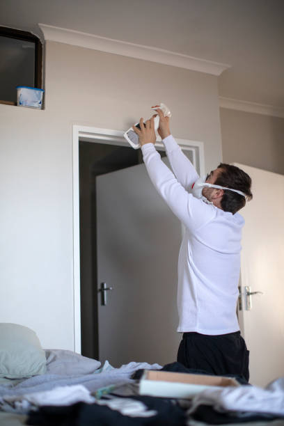 Best Basement Mold Removal  in Gulf Park Estates, MS