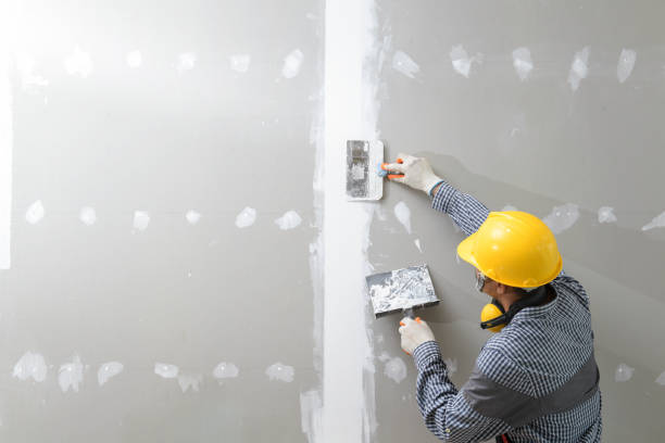 Best Environmental Consulting for Mold Prevention  in Gulf Park Estates, MS
